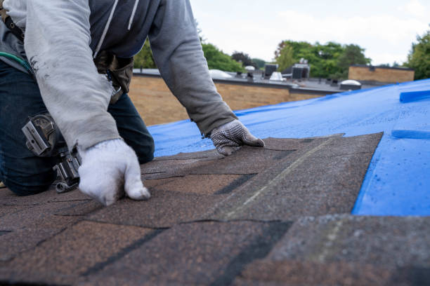 Best Affordable Roofing Company  in Pottsville, AR