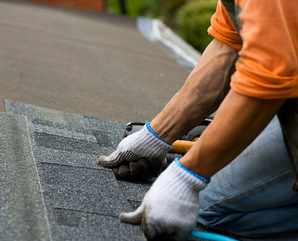 Roof Gutter Cleaning in Pottsville, AR