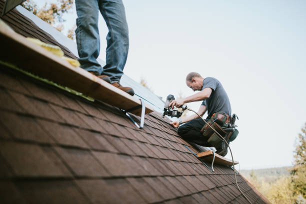 Best Flat Roof Repair Services  in Pottsville, AR